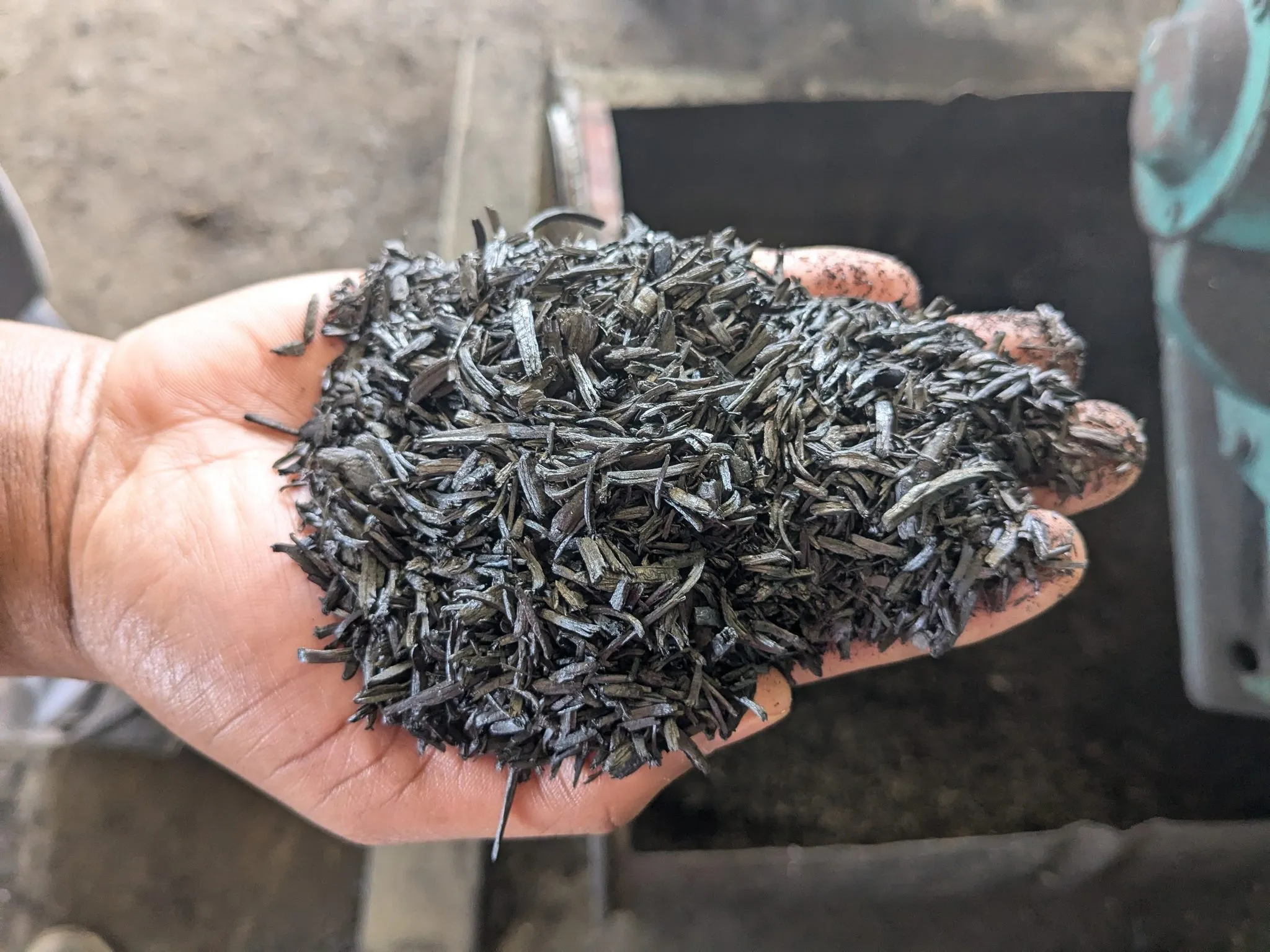 A handful of biochar held open, showing the coarse flaked structure of the material