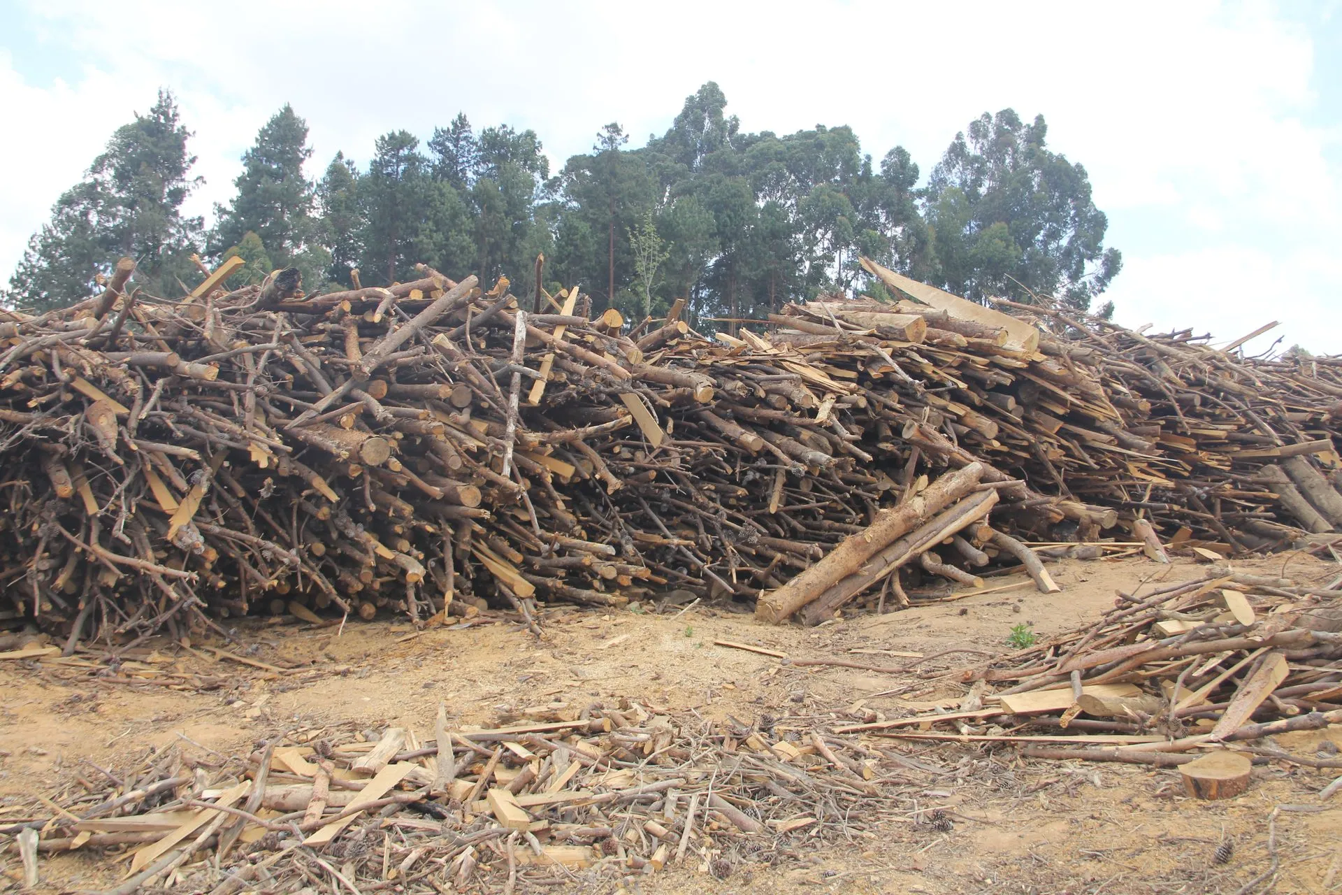 A stack of timber offcuts and residues waiting to be processed as feedstock