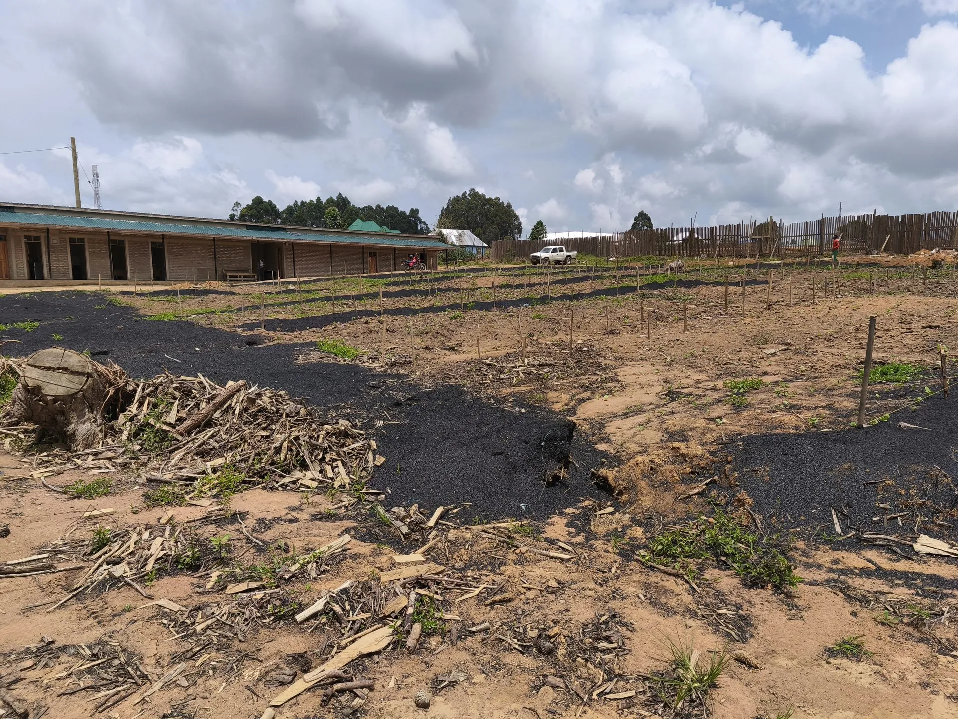 Biochar spread in bands across prepared ground before incorporation