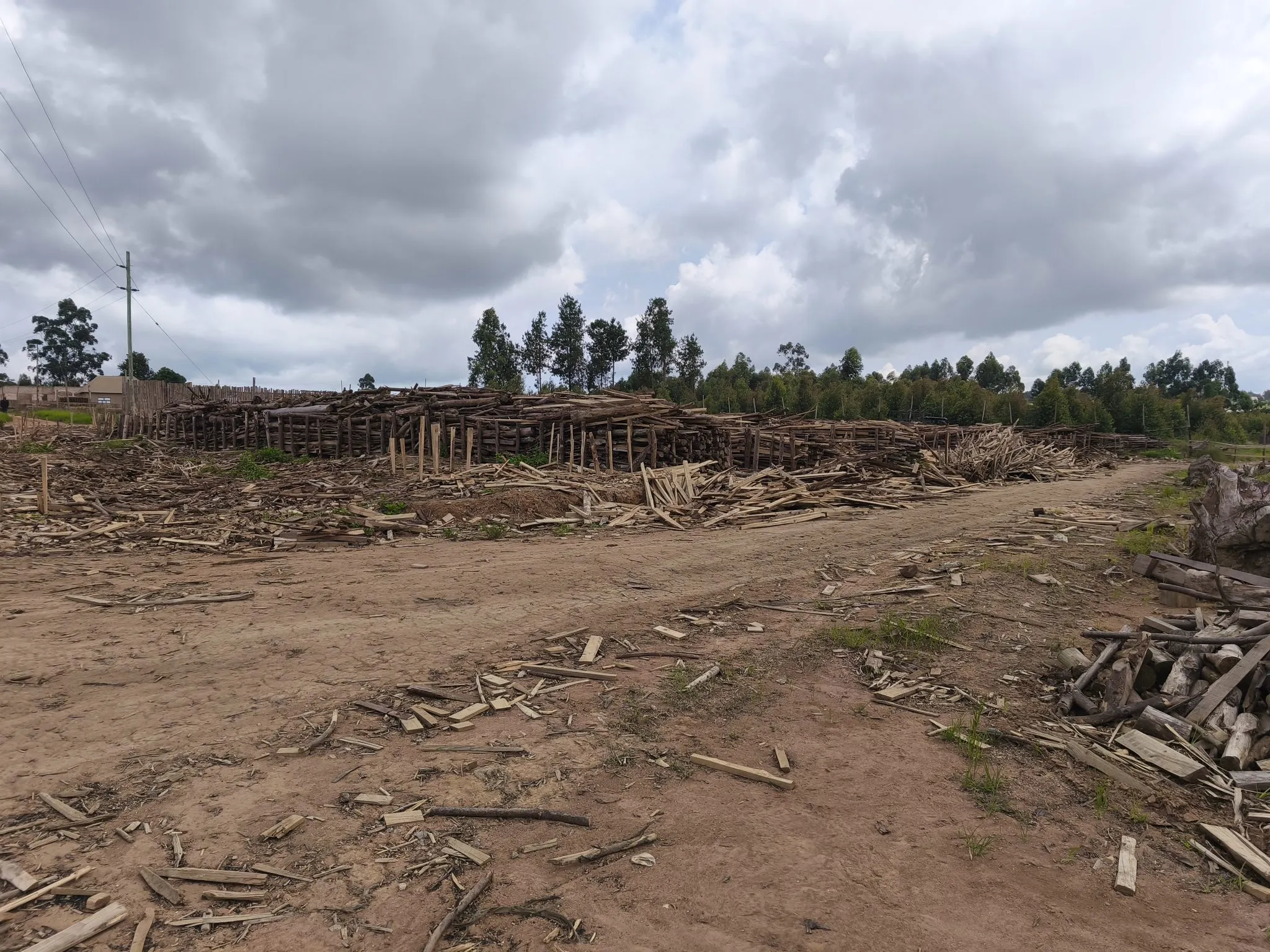 The track into the site, running past stacked timber